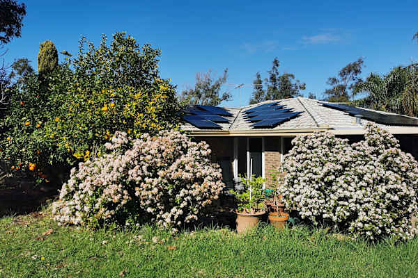 House sit in Perth, WA, Australia