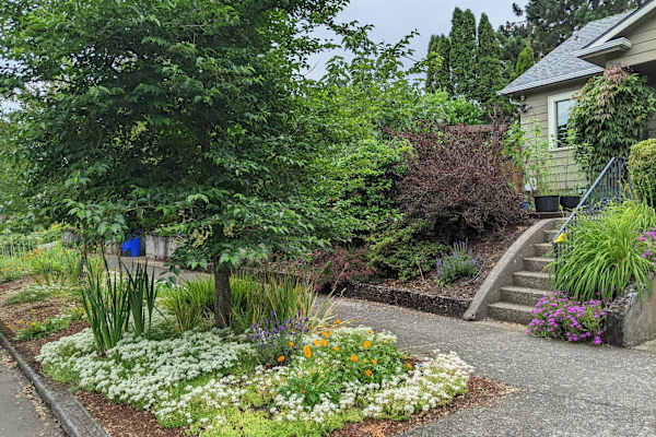 House sit in Portland, OR, US