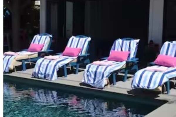 House sit in Napa, CA, US