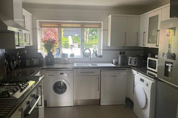 House sit in Brighton, United Kingdom