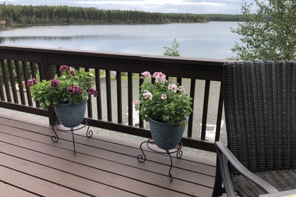 House sit in Sterling, AK, US