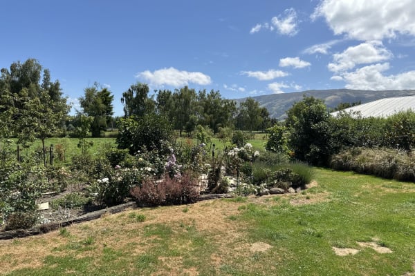 House sit in Outram, New Zealand