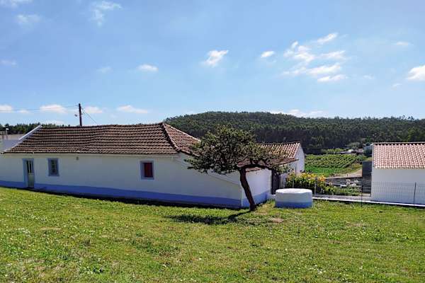 House sit in Torres Vedras, Portugal