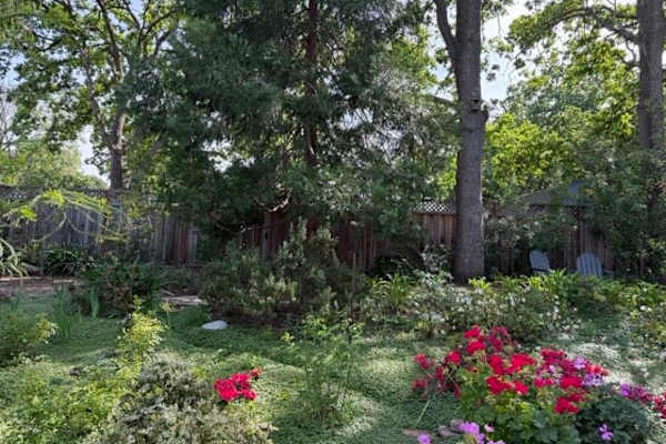 House sit in Pleasant Hill, CA, US