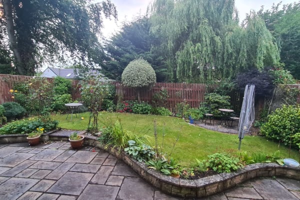 House sit in Dunfermline, United Kingdom