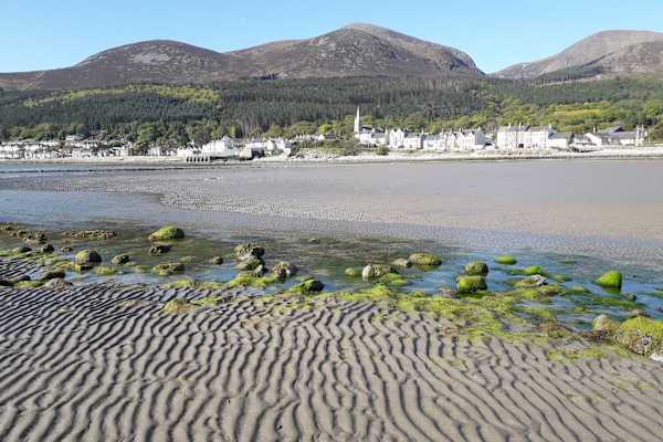 House sit in Newcastle, United Kingdom