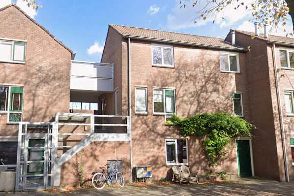 House sit in Utrecht, Netherlands