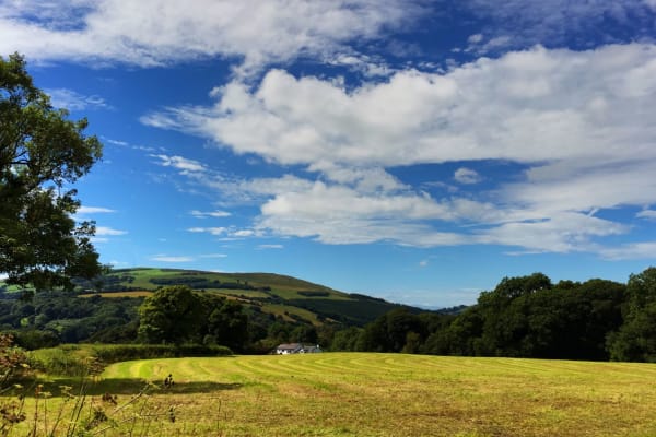 House sit in Mold, United Kingdom