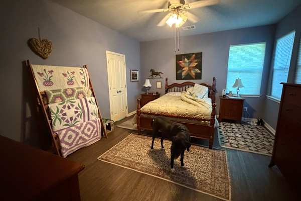 House sit in San Marcos, TX, US