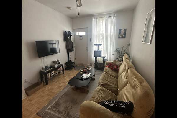 House sit in Montréal, QC, Canada