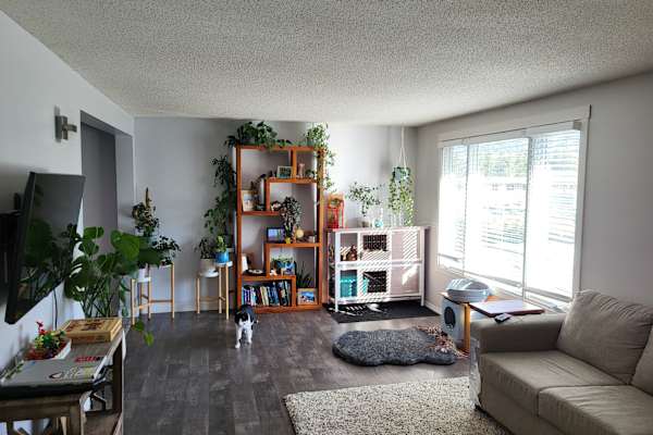 House sit in Fernie, BC, Canada