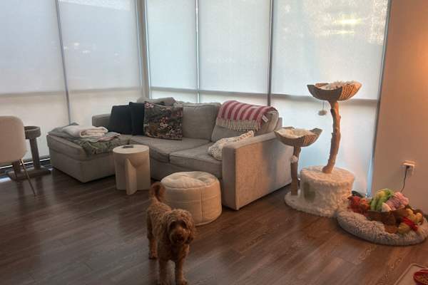 House sit in Las Vegas, NV, US