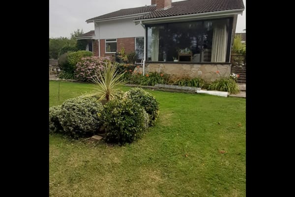 House sit in Witham, United Kingdom