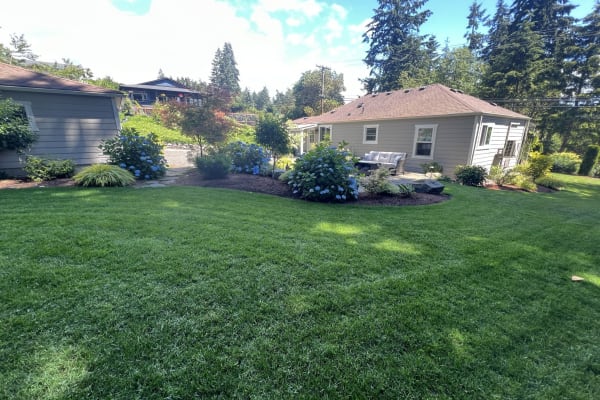 House sit in Gig Harbor, WA, US