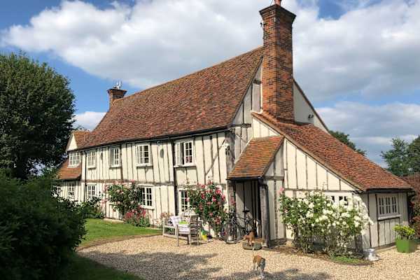 House sit in Felsted, United Kingdom
