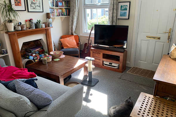 House sit in Norwich, United Kingdom