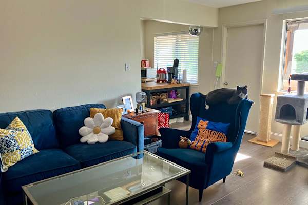 House sit in Redwood City, CA, US