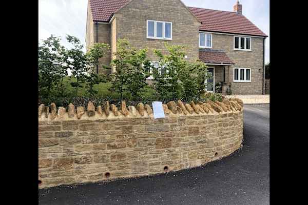 House sit in Merriott, United Kingdom