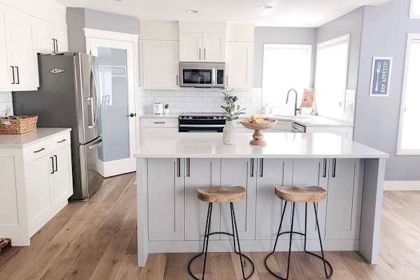 House sit in Calgary, AB, Canada