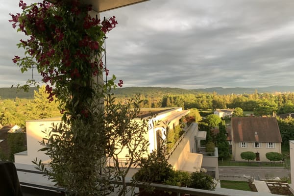 House sit in Weil am Rhein, Germany