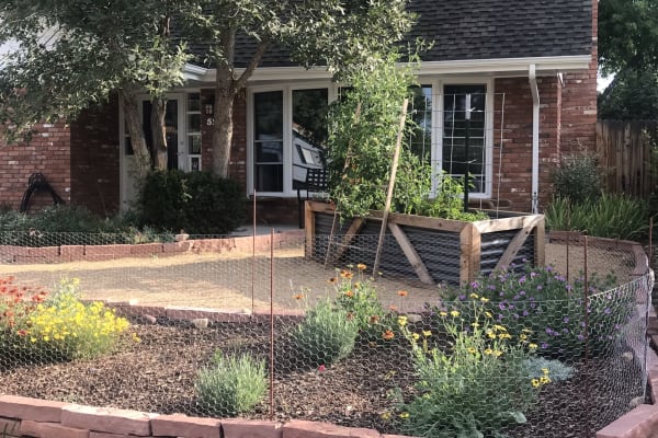 House sit in Longmont, CO, US