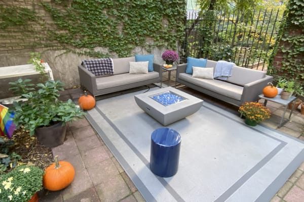 House sit in New York City, NY, US