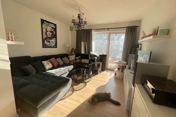 House sit in Berlin, Germany