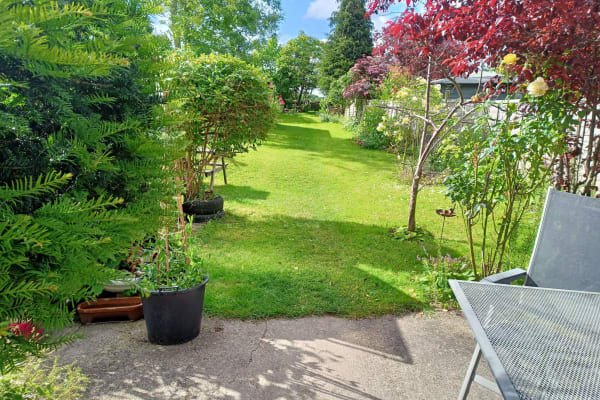 House sit in Wendover, United Kingdom