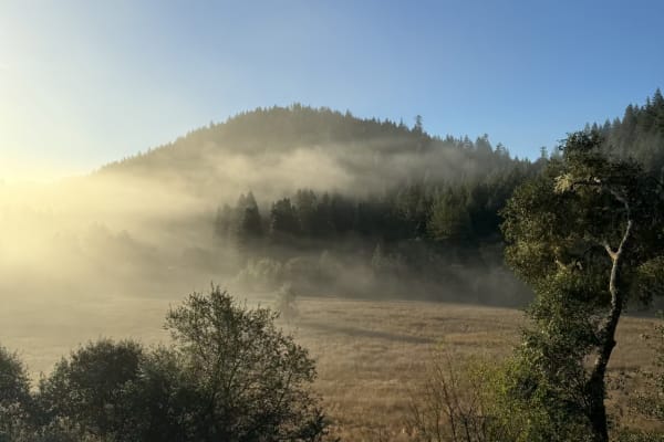 House sit in Comptche, CA, US