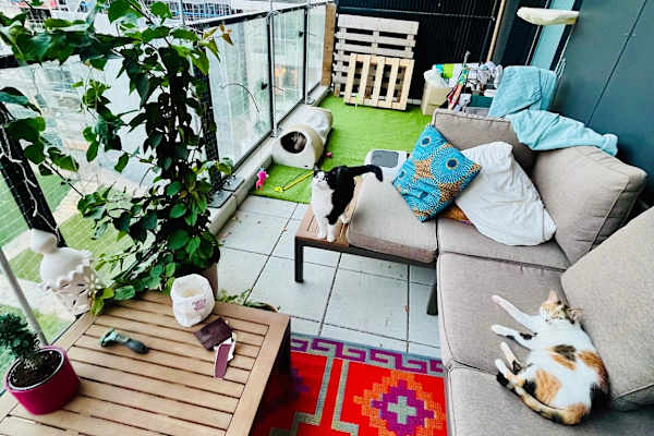 House sit in Vienna, Austria