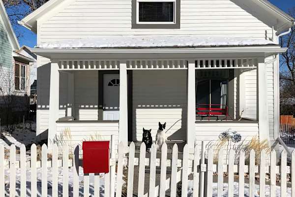 House sit in Livingston, MT, US