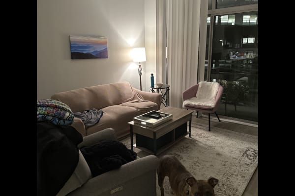 House sit in Alexandria, VA, US