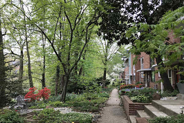 House sit in Washington, D.C., Washington, D.C., US