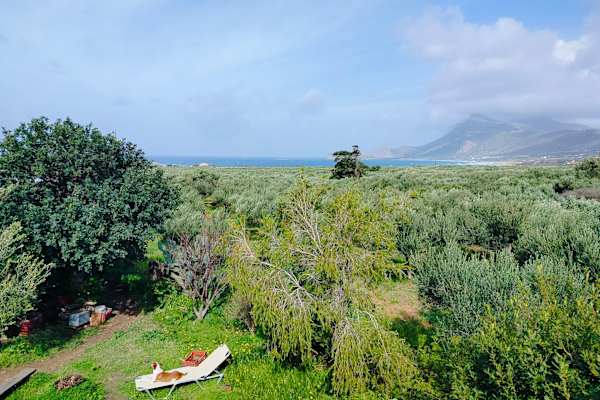 House sit in Kíssamos, Greece