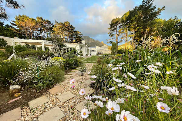 House sit in Hout Bay, South Africa