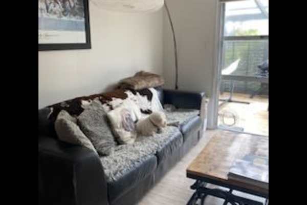 House sit in Auckland, New Zealand