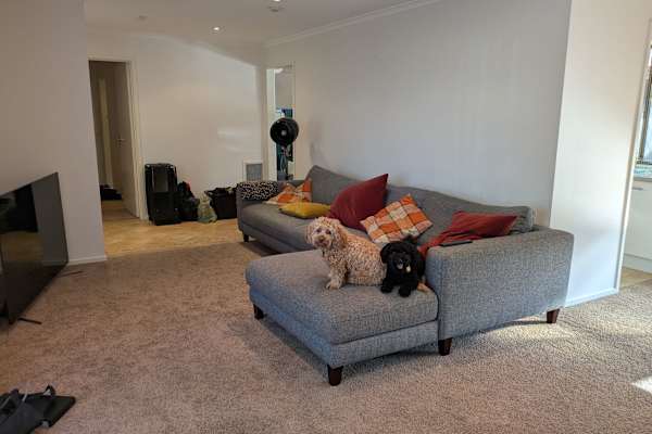 House sit in Melbourne, VIC, Australia