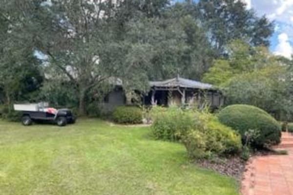 House sit in Gainesville, FL, US