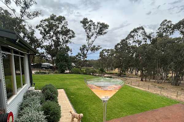 House sit in Clare, SA, Australia