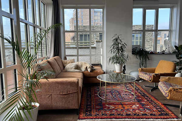 House sit in Amsterdam, Netherlands