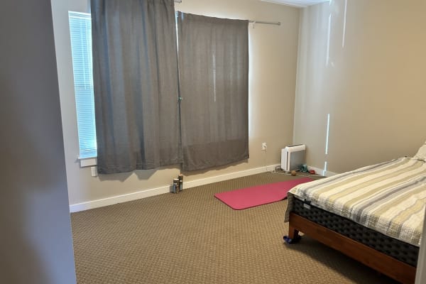 House sit in Boston, MA, US