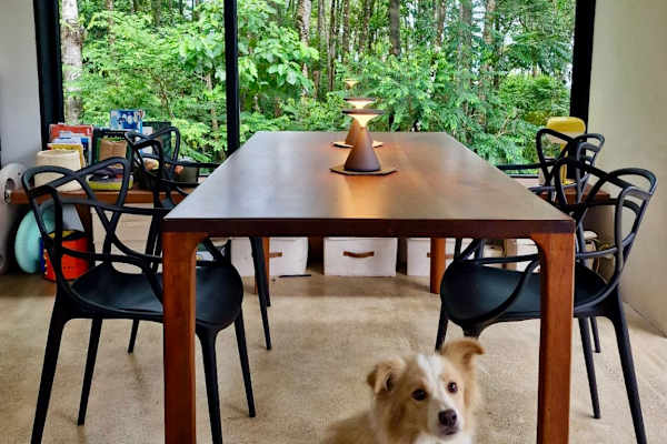 House sit in Dominical, Costa Rica