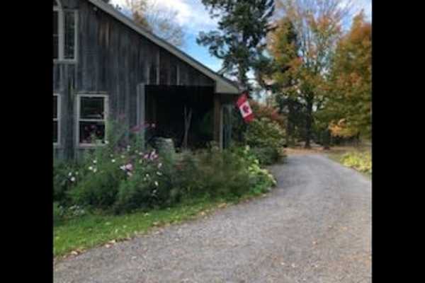 House sit in Stirling, ON, Canada