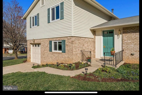 House sit in Fairfax, VA, US