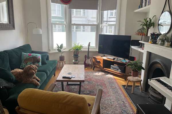 House sit in Hove, United Kingdom