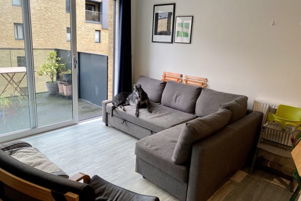 House sit in Walthamstow, United Kingdom