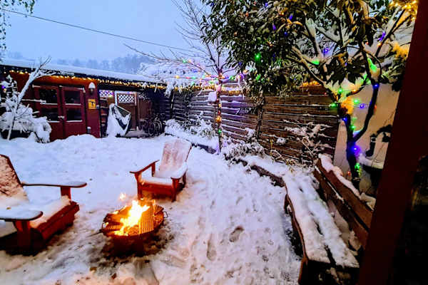 House sit in Vienna, Austria