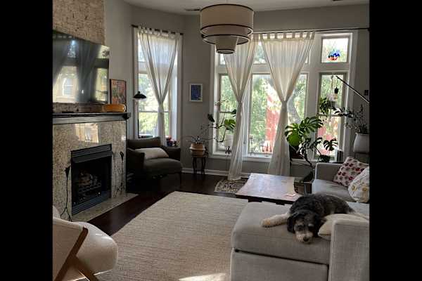 House sit in Chicago, IL, US