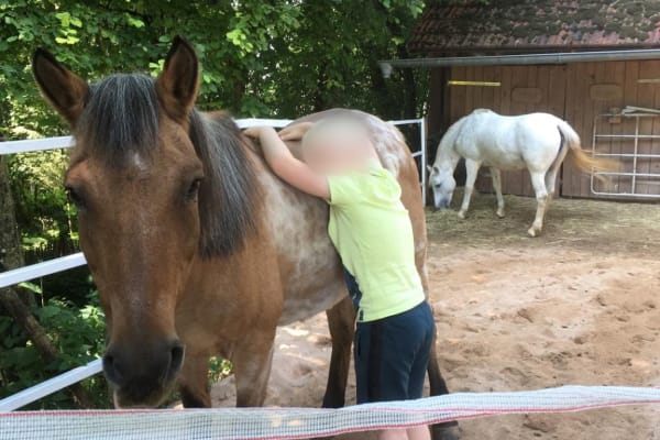 House sit in Pilsach, Germany
