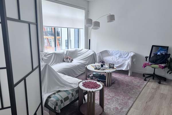 House sit in Okotoks, AB, Canada